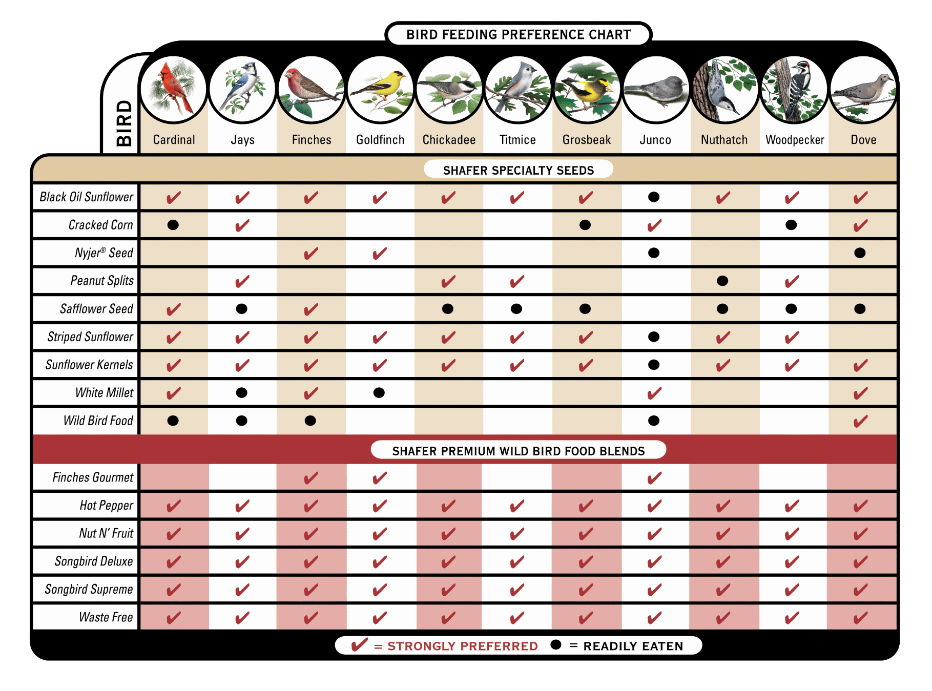 Feeding Birds: a Quick Guide to Seed Types